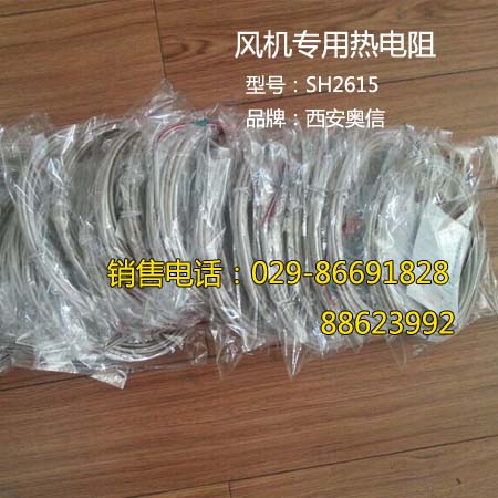 双支风机热电阻SH2620